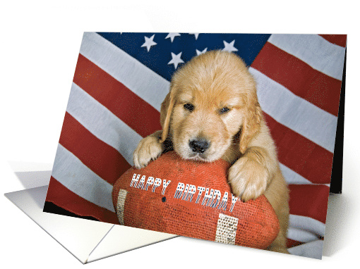 golden retriever puppy on football with American flag card (689486)