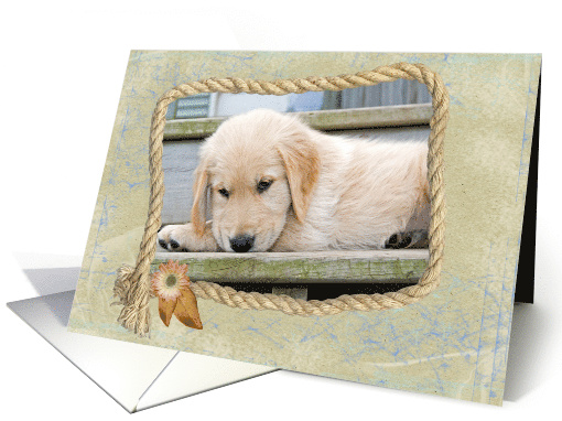 Thinking of You, golden retriever puppy in a rope frame card (691978)