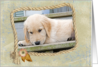 Thinking of You, golden retriever puppy in a rope frame card