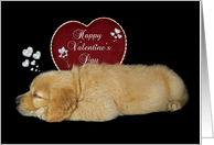 Valentine with Golden Retriever puppy and silver hearts on black card