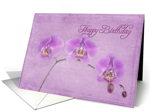 birthday orchids card (697633)