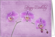 birthday orchids card