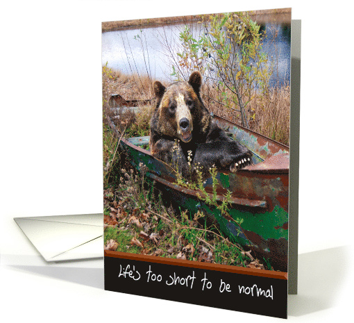 Birthday bear in rusty row boat by a rural pond card (706350)