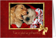 golden retrievers in red basket for spouse’s anniversary card