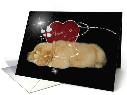 Valentine's Day golden retriever puppy with red heart card (738479)