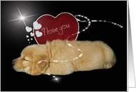 Valentine’s Day golden retriever puppy with red heart card