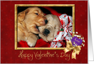 Valentine’s Day golden retriever puppies in a red basket card