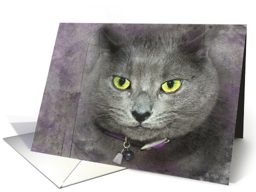 Smiling Gray Cat With Textured Overlay for Birthday Humor card