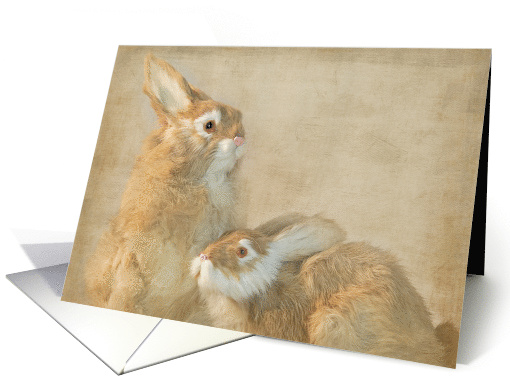 Birthday pair of rabbits with textured overlay card (758333)