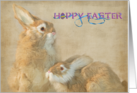 Hoppy Easter bunny card