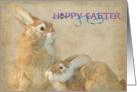 Hoppy Easter bunny card