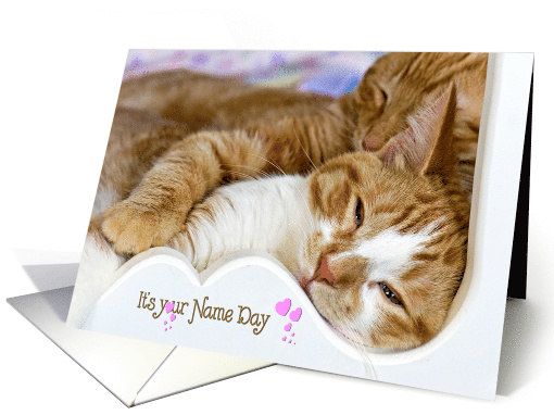 Name Day tabby cats snuggling in white wood frame card (761591)