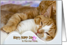 name day-cat card