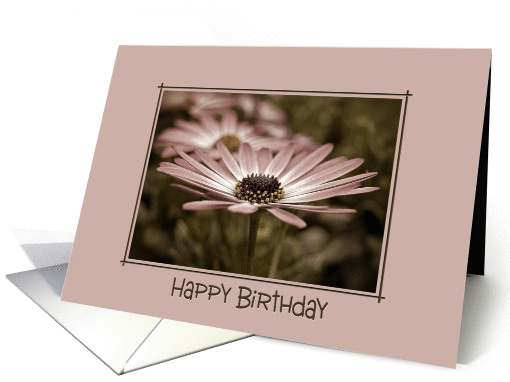 Birthday daisy in soft sepia tones card (765598)