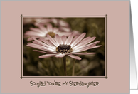 stepdaughter’s birthday with daisy in soft vintage card