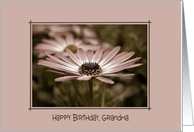 Grandma’s birthday-daisy in a frame card
