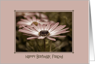 Friend’s birthday-daisy in a frame card