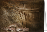 blank-sunbeams-daisy-basket card