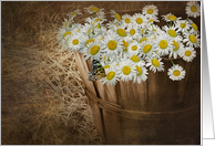 butterfly and white daisies in wooden basket card