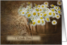 daisy-butterfly-thank you card