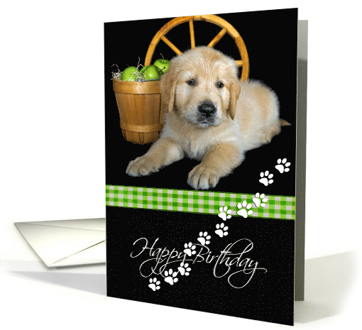 Golden Retriever with a basket of green apples for birthday card