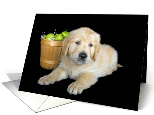 Birthday Golden Retriever Puppy with Green Apple Basket card (778210)