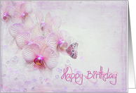 Birthday-orchids and...