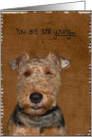 Welsh Terrier-humor-dog-birthday card