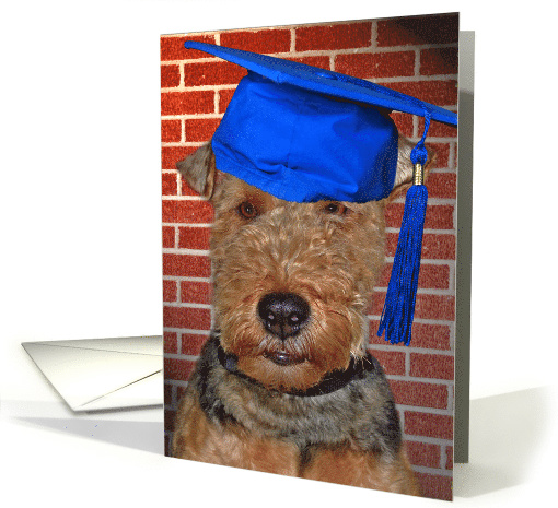 Graduation Welsh Terrier with blue graduation cap card (786908)