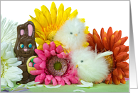 Chocolate Easter bunny with baby chicks and daises card