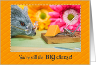 Birthday-mouse with glasses looking at cheese in trap card