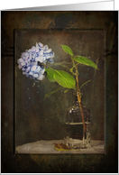 thinking of you, hydrangea in a vintage bottle with grungy texture card