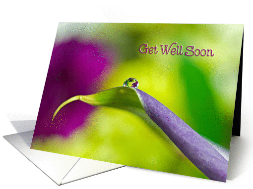 get well soon-dew drop on a calla lily leaf card (788182)