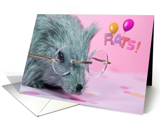 belated birthday-gray rat with spectacles card (788222)