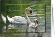 Sympathy-swan with cygnet in pond card