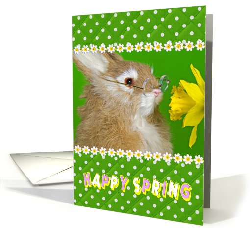rabbit-bunny-spring-daffodil-love card (794949)
