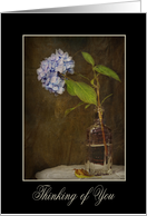 thinking of you-hydrangea-vintage card