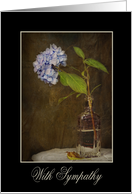 Sympathy hydrangea in a vintage bottle with black frame card