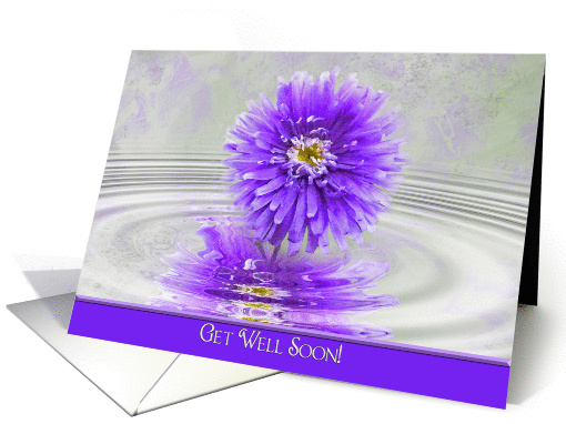 get well soon-purple dahlia in water ripples card (796547)