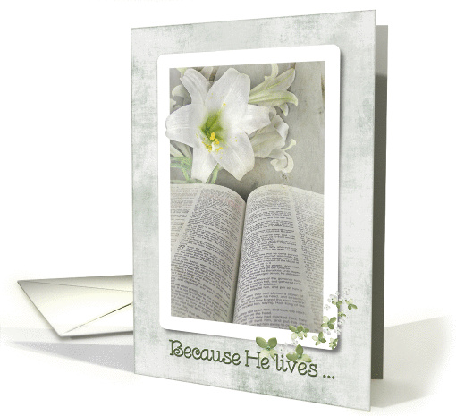 Easter lily with Holy Bible card (801872)