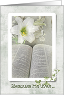 Easter lily with Holy Bible card