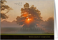 Sympathy, morning sunrise with tree and flock of geese card