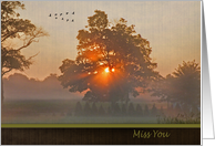 Miss You-flock of geese with sunrise in misty tree card
