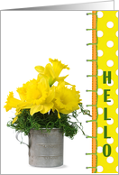 hello-, yellow daffodils in retro measuring cup card