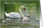 swan-Mother’s Day-water card