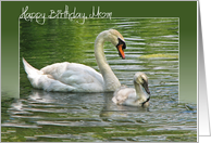 swan-birthday-Mom-water card