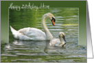 swan-birthday-Mom-water card