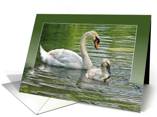Grandma's Birthday-swan with cygnet in pond water card (804367)