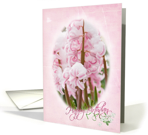 Birthday-pink hyacinths in snow card (805742)
