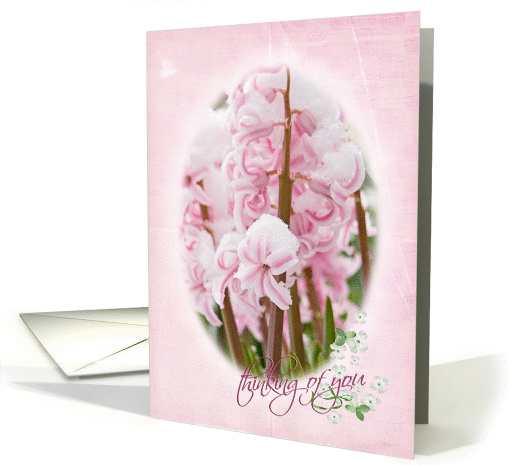 Thinking of You-pink hyacinths in snow card (805747)